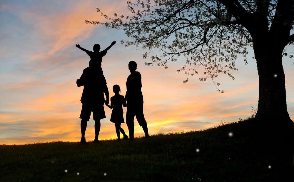 Happy family, father, mother, son and daughter in nature, sunset